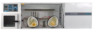 Bactron anaerob munkahely és inkubátor (glove box)