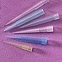Mintatartók, küvetták, pipettahegyek